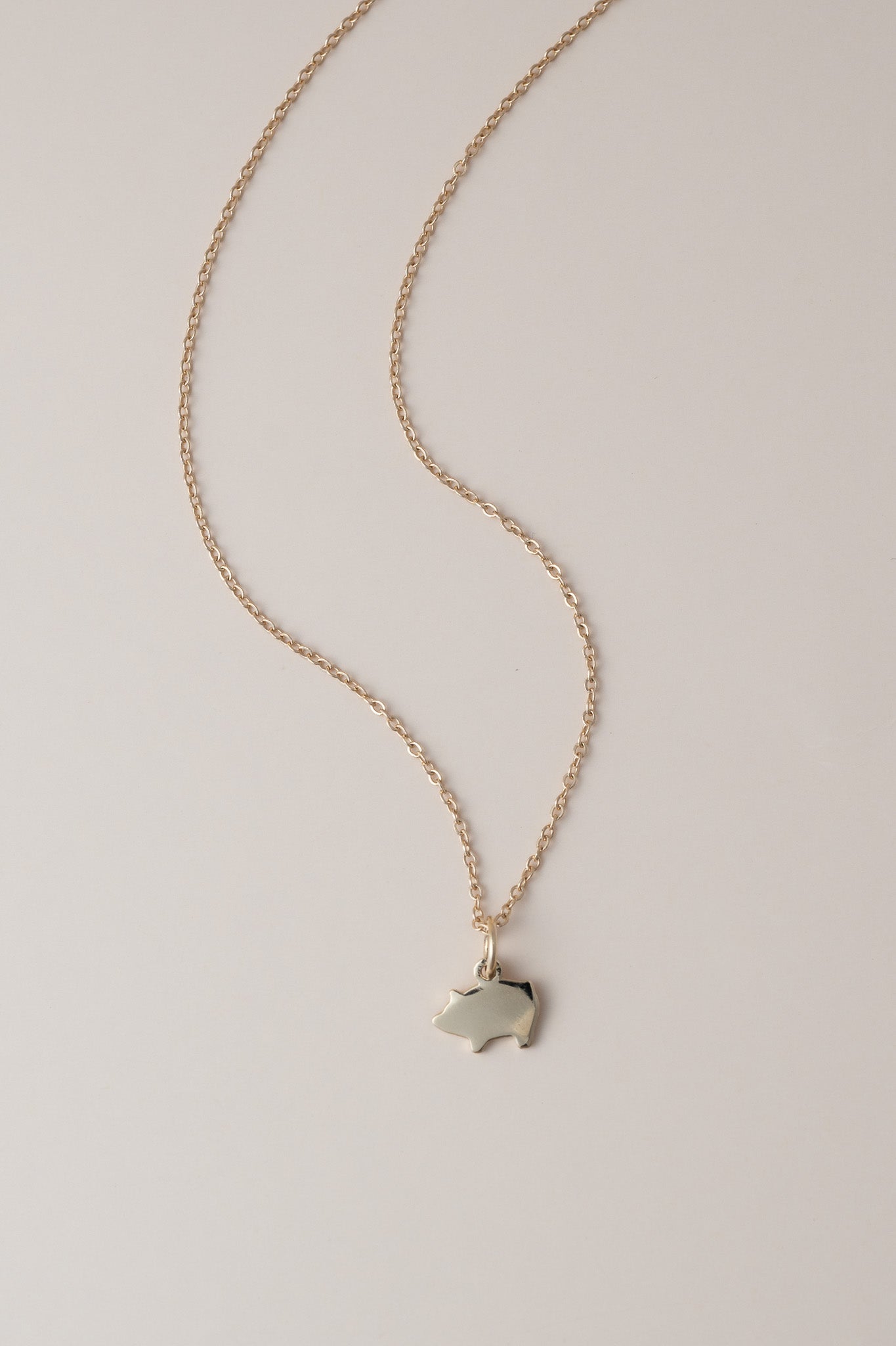 14K Marranito Necklace - Cadena Collective