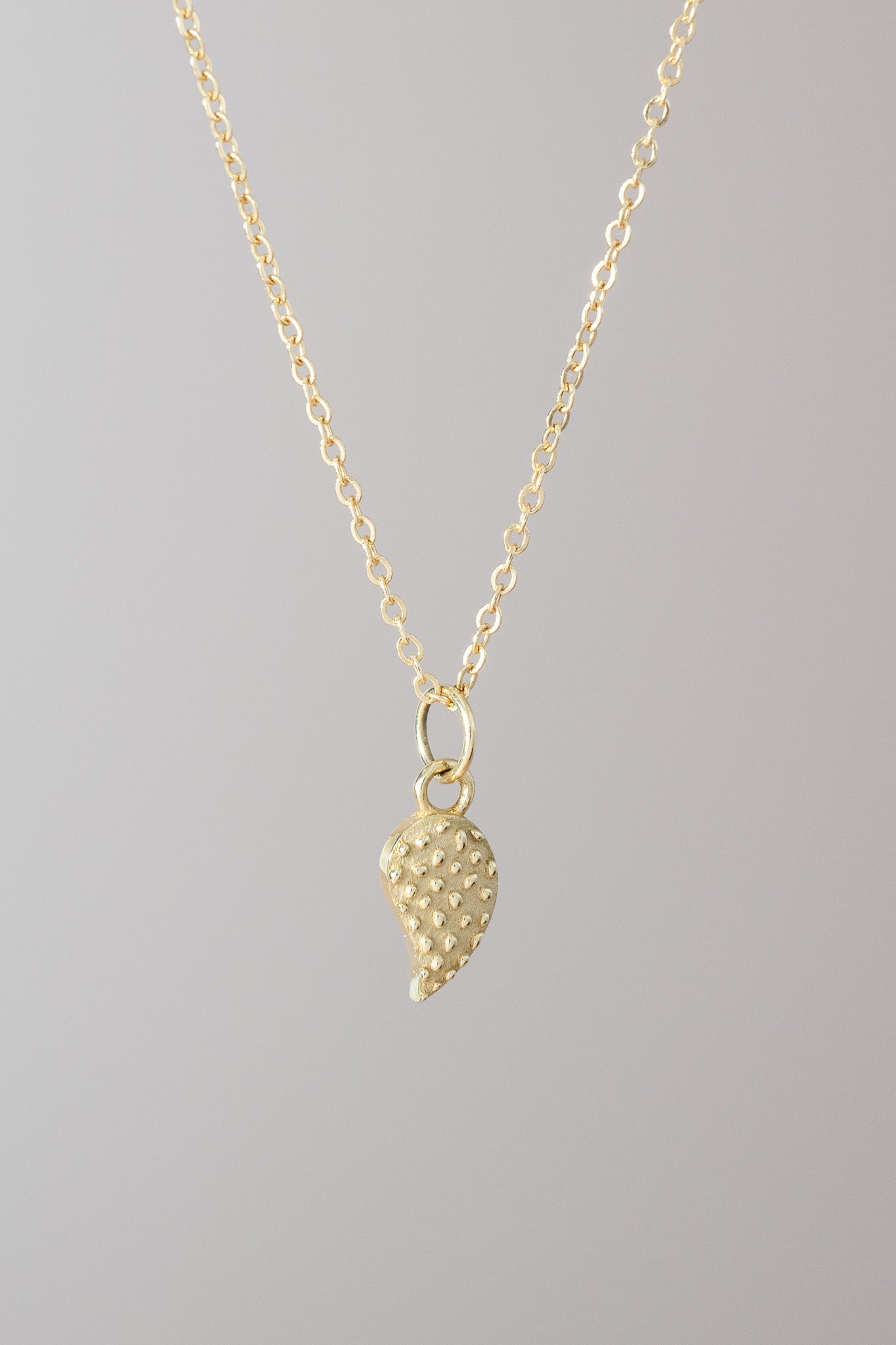14K Nopalito Necklace - Cadena Collective
