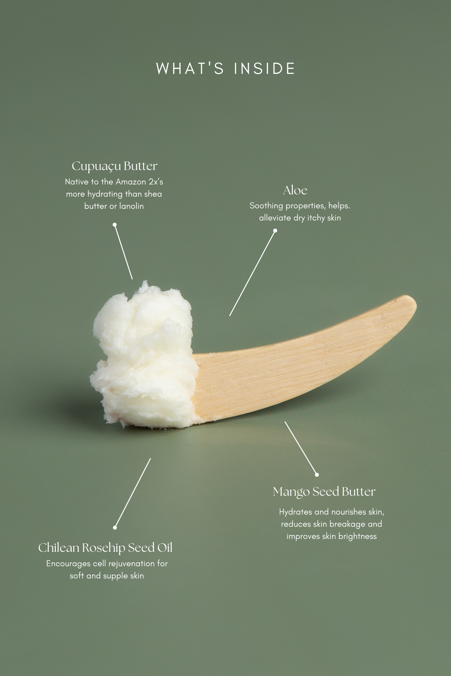 Cupuaçu Seed Body Butter