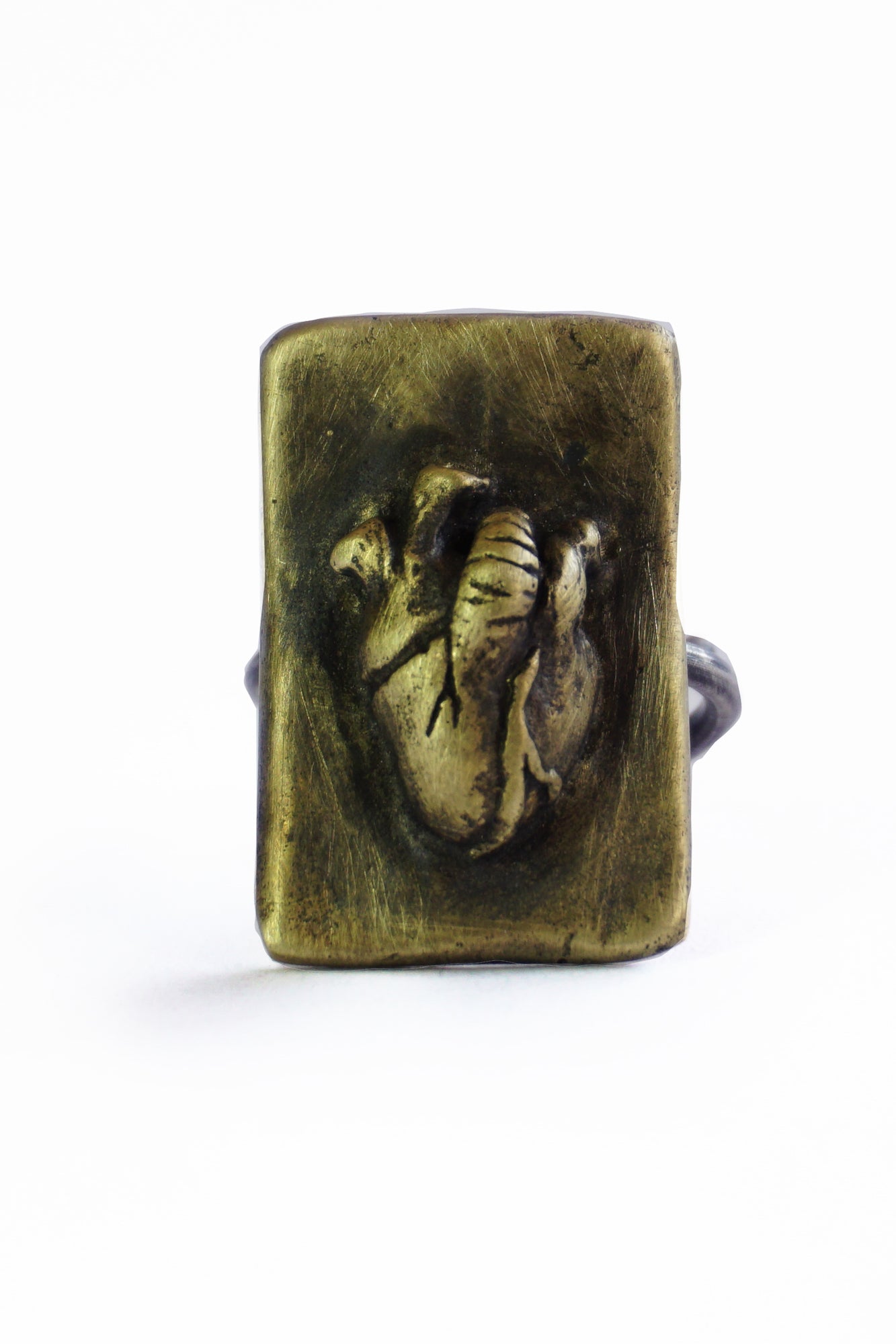 Corazón Anatómico Ring