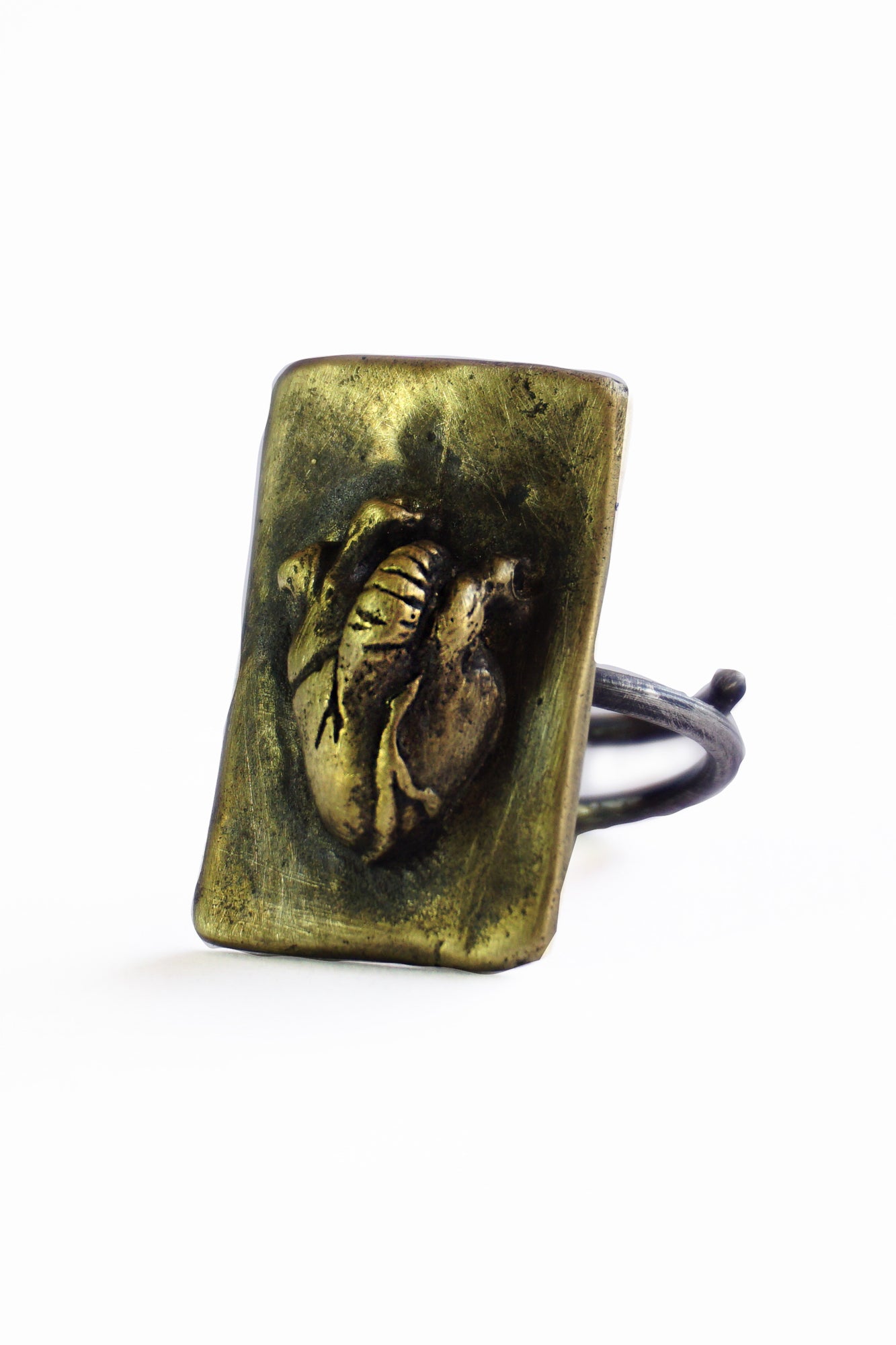 Corazón Anatómico Ring