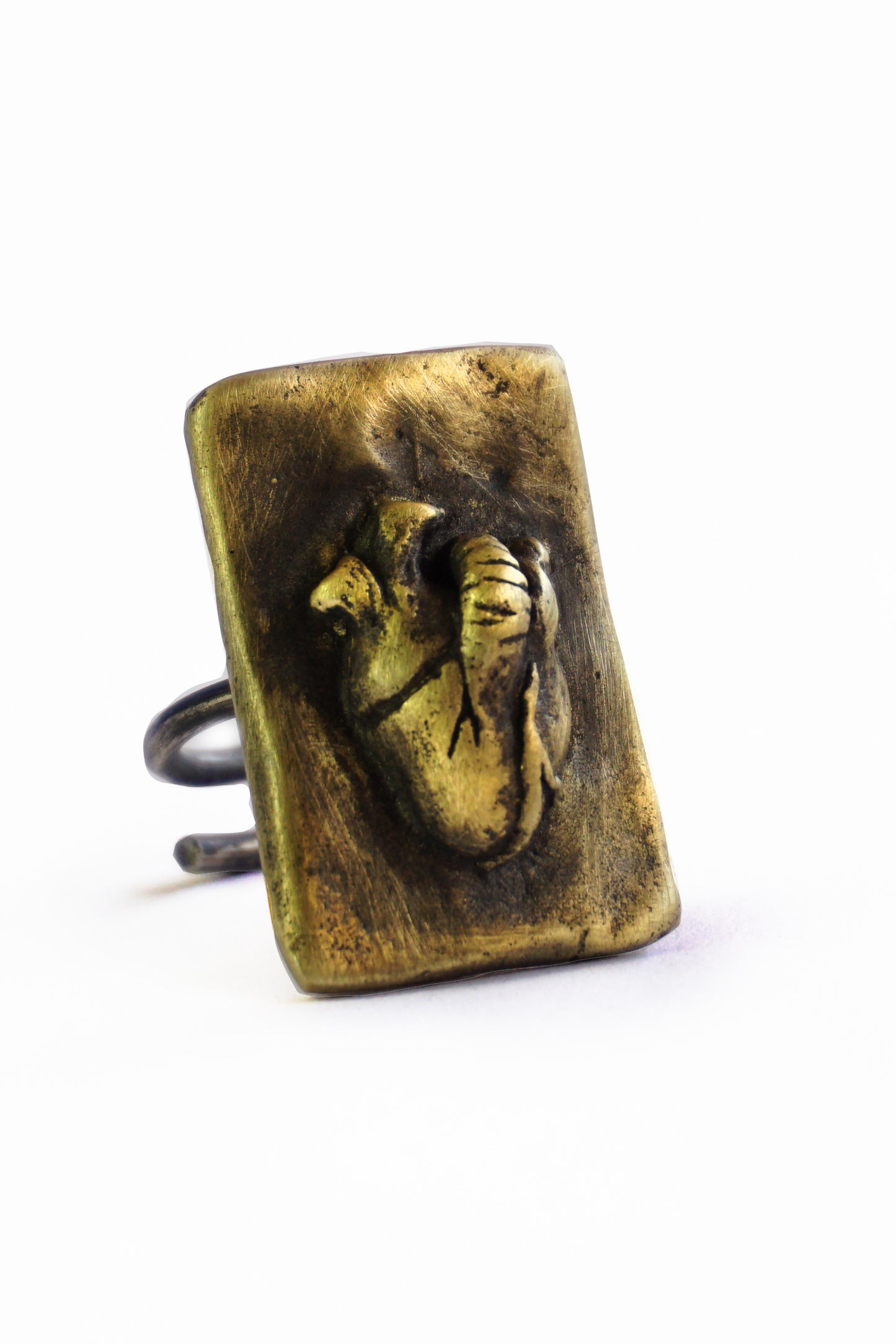 Corazón Anatómico Ring