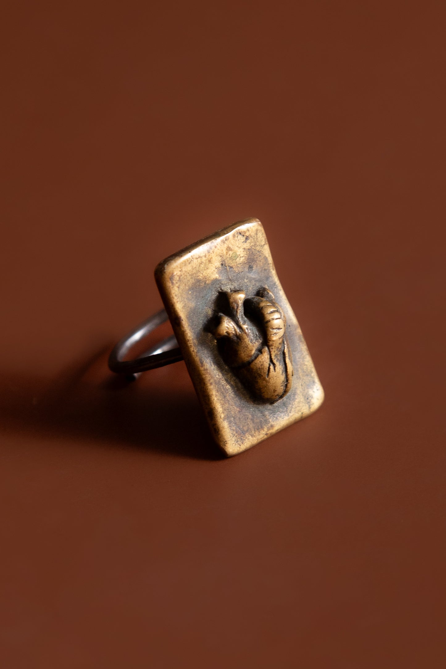 Corazón Anatómico Ring