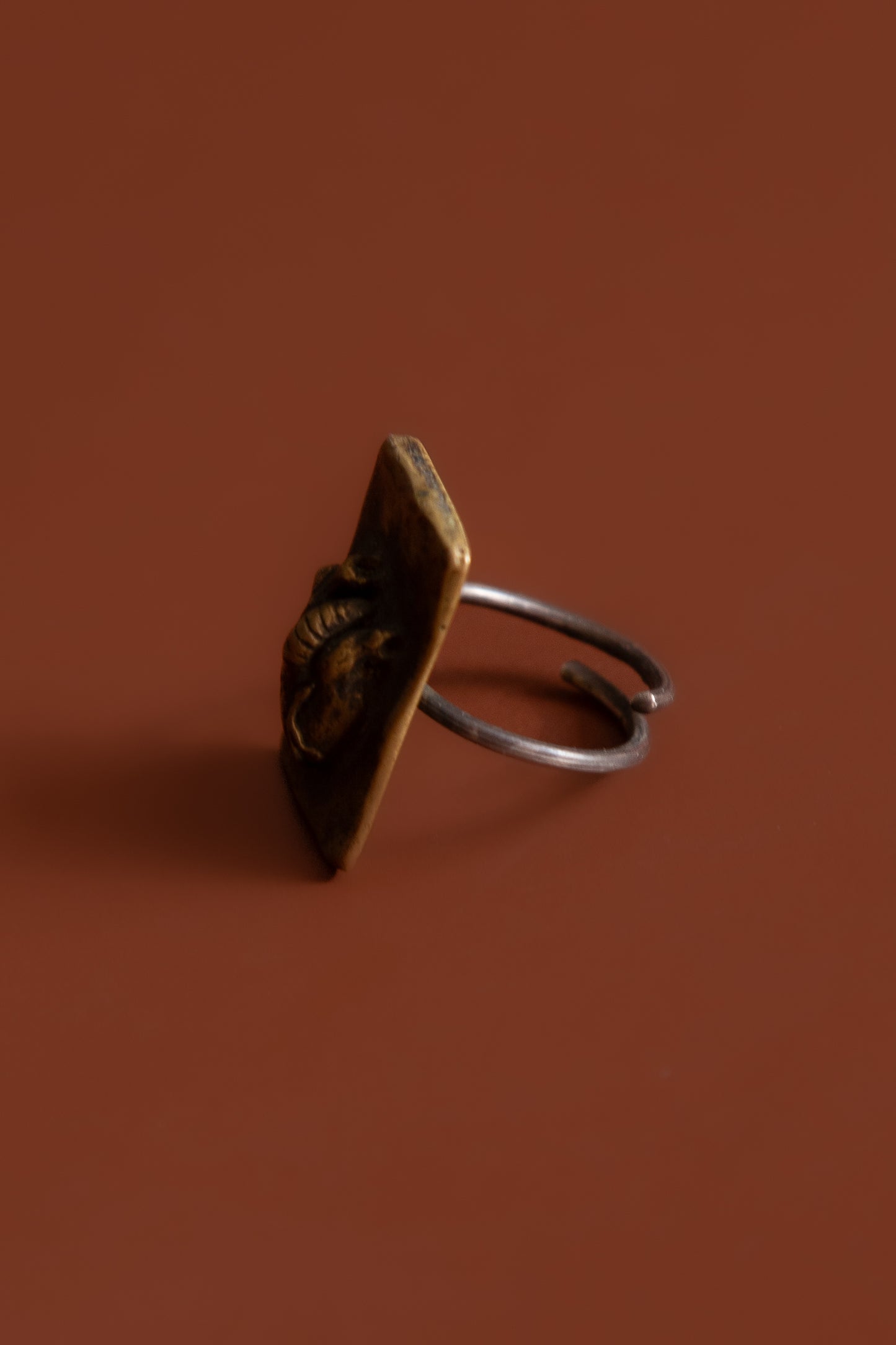 Corazón Anatómico Ring