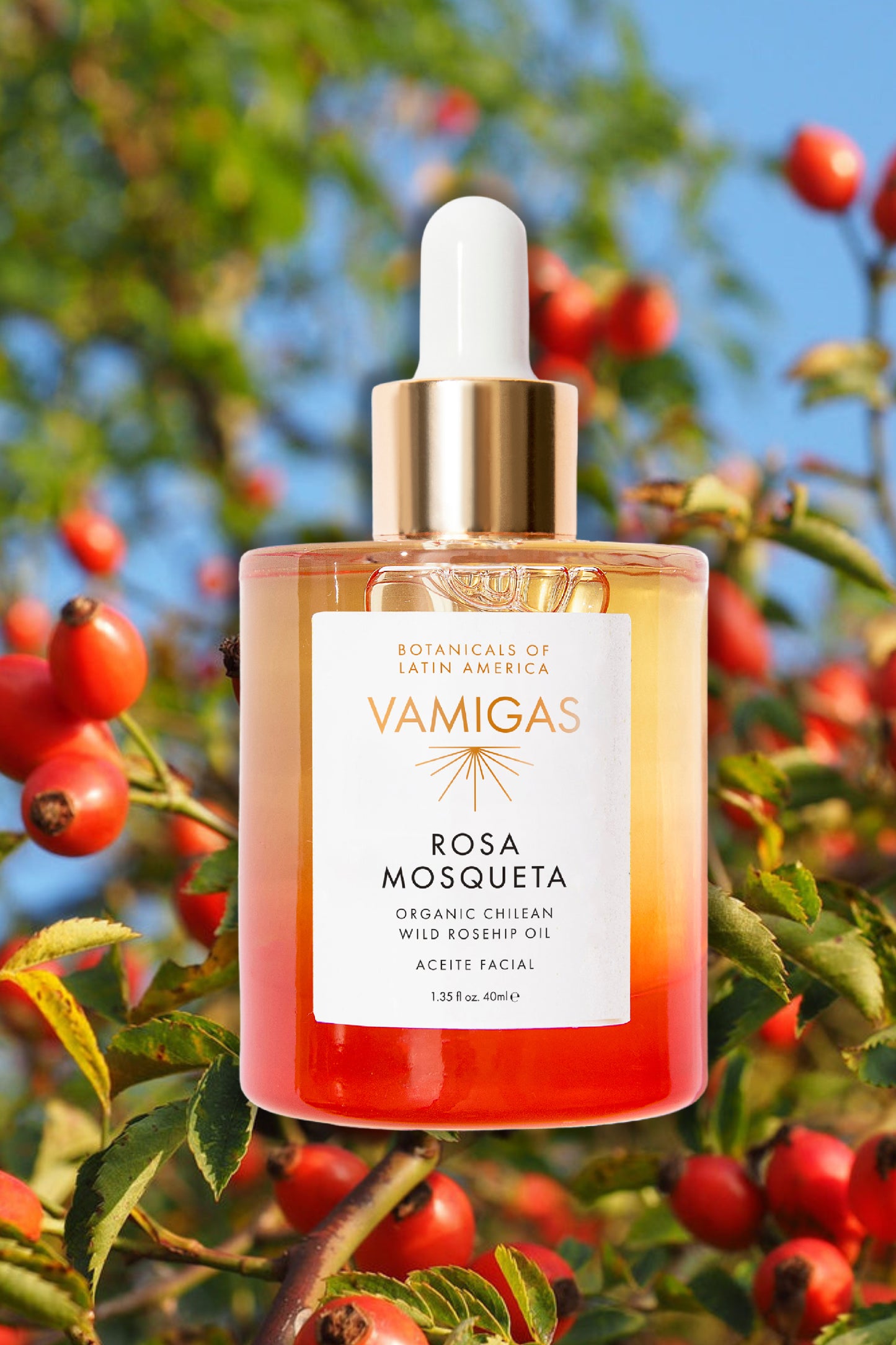Rosa Mosqueta Facial Oil - Chilean Wild Rosehip Oil